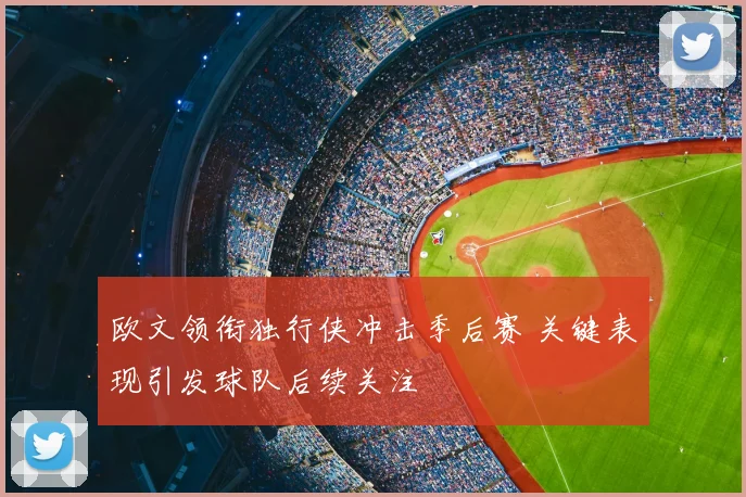 欧文领衔独行侠冲击季后赛 关键表现引发球队后续关注