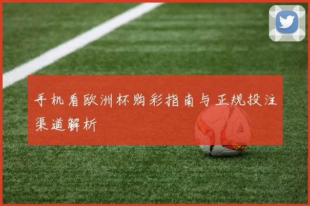 手机看欧洲杯购彩指南与正规投注渠道解析