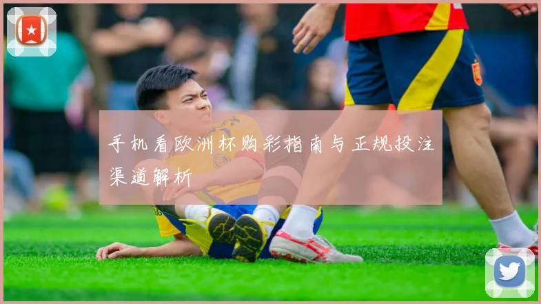 手机看欧洲杯购彩指南与正规投注渠道解析