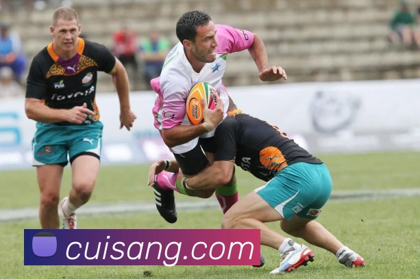 App Interface Preview