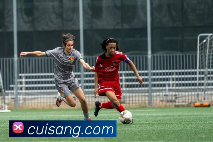 数据防护可视化